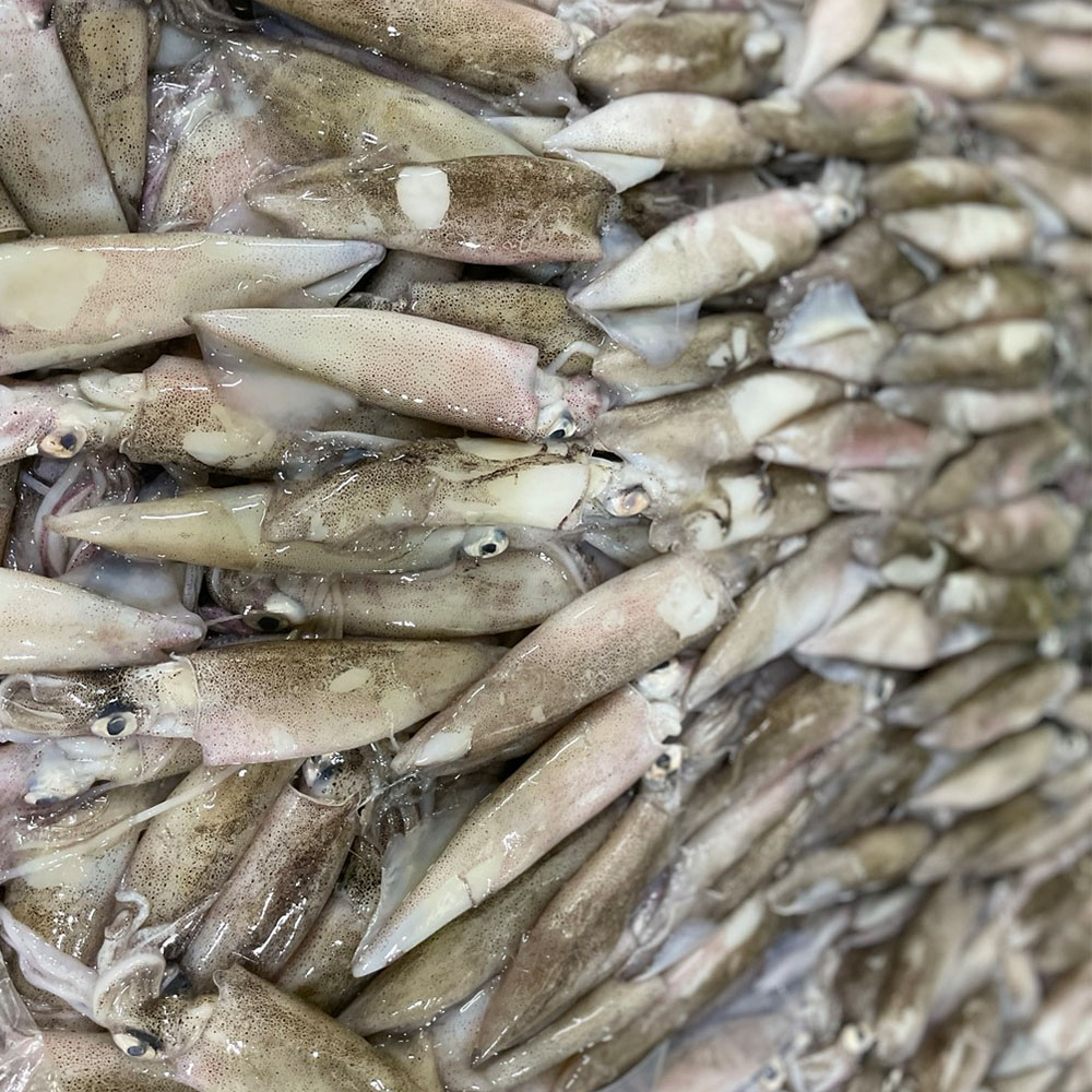 원양산 급냉 총알 한치 500g 12-23미