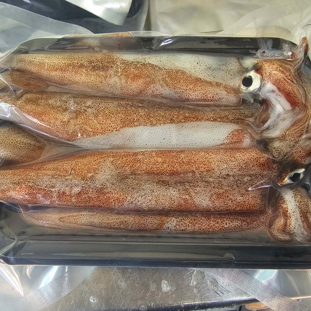 원양산 급냉 총알 한치 500g 12-23미