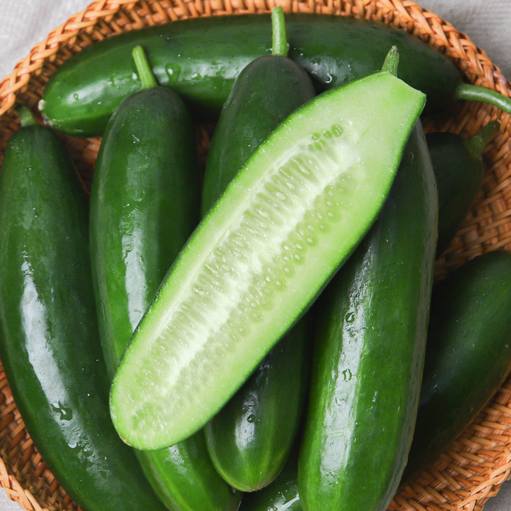 미니오이 스낵오이 500g 1kg 2kg