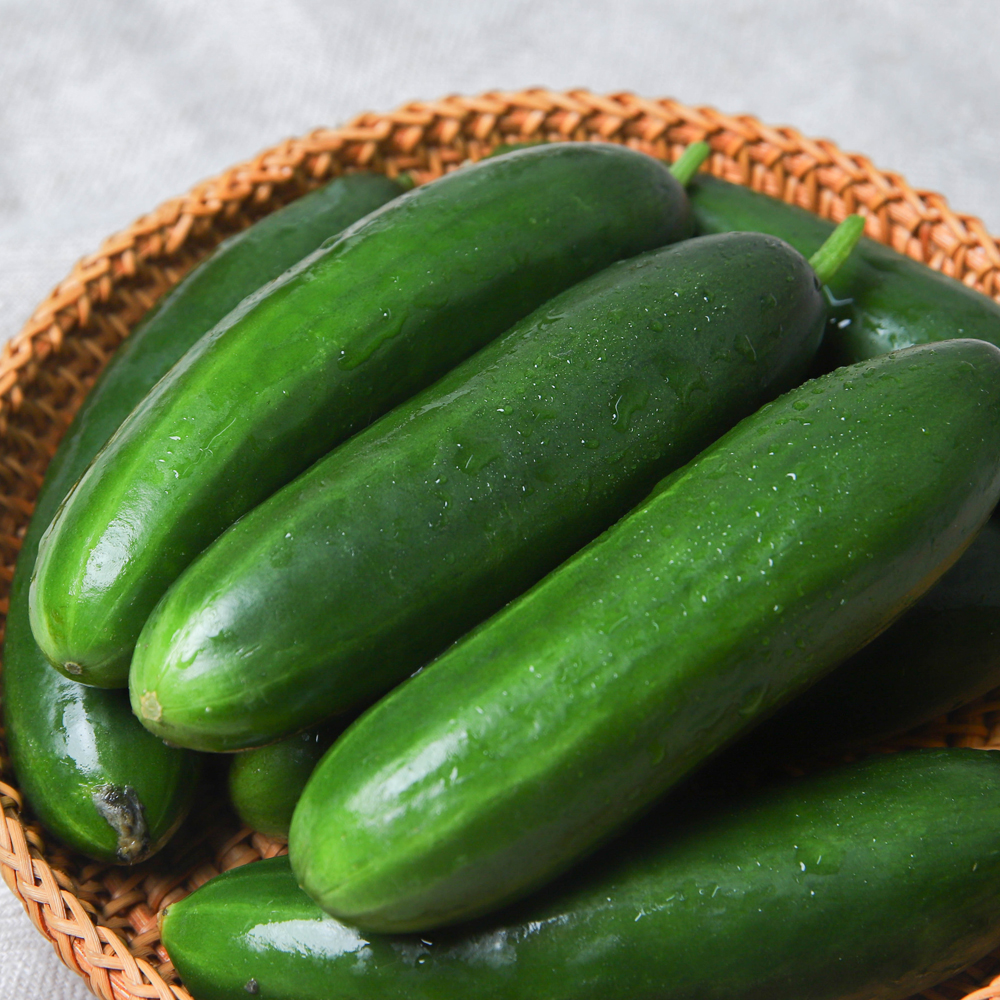 미니오이 스낵오이 500g 1kg 2kg