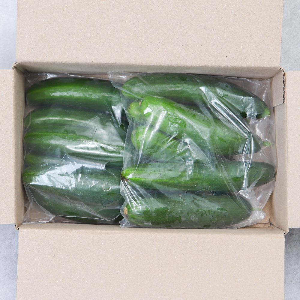 미니오이 스낵오이 500g 1kg 2kg