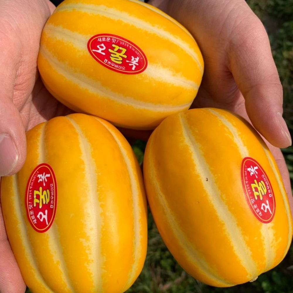 아삭달콤 성주 꿀 참외 정품 2kg~