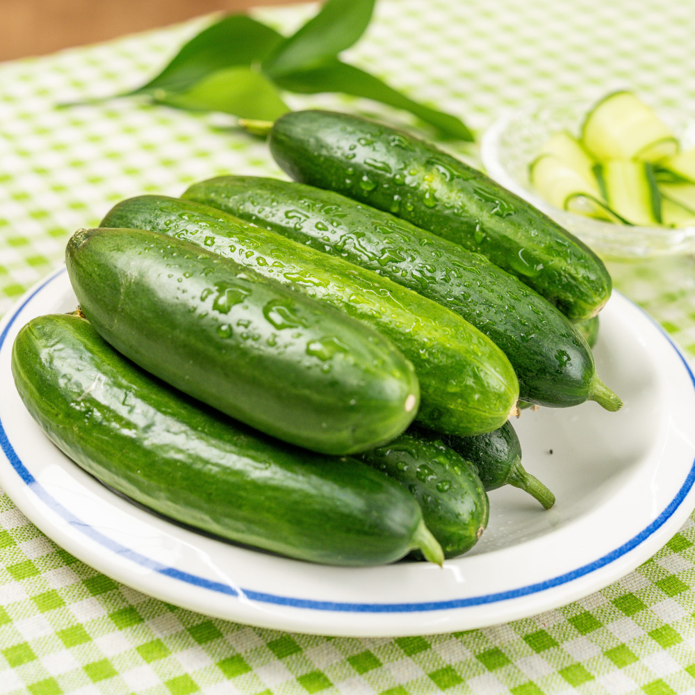 경북 칠곡 수분가득 미니오이 스낵오이 500g 1kg 2kg 꼬마오이