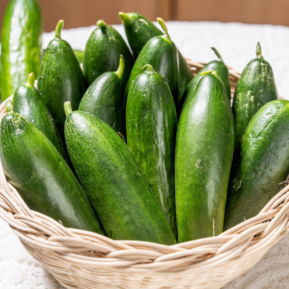 경북 칠곡 수분가득 미니오이 스낵오이 500g 1kg 2kg 꼬마오이