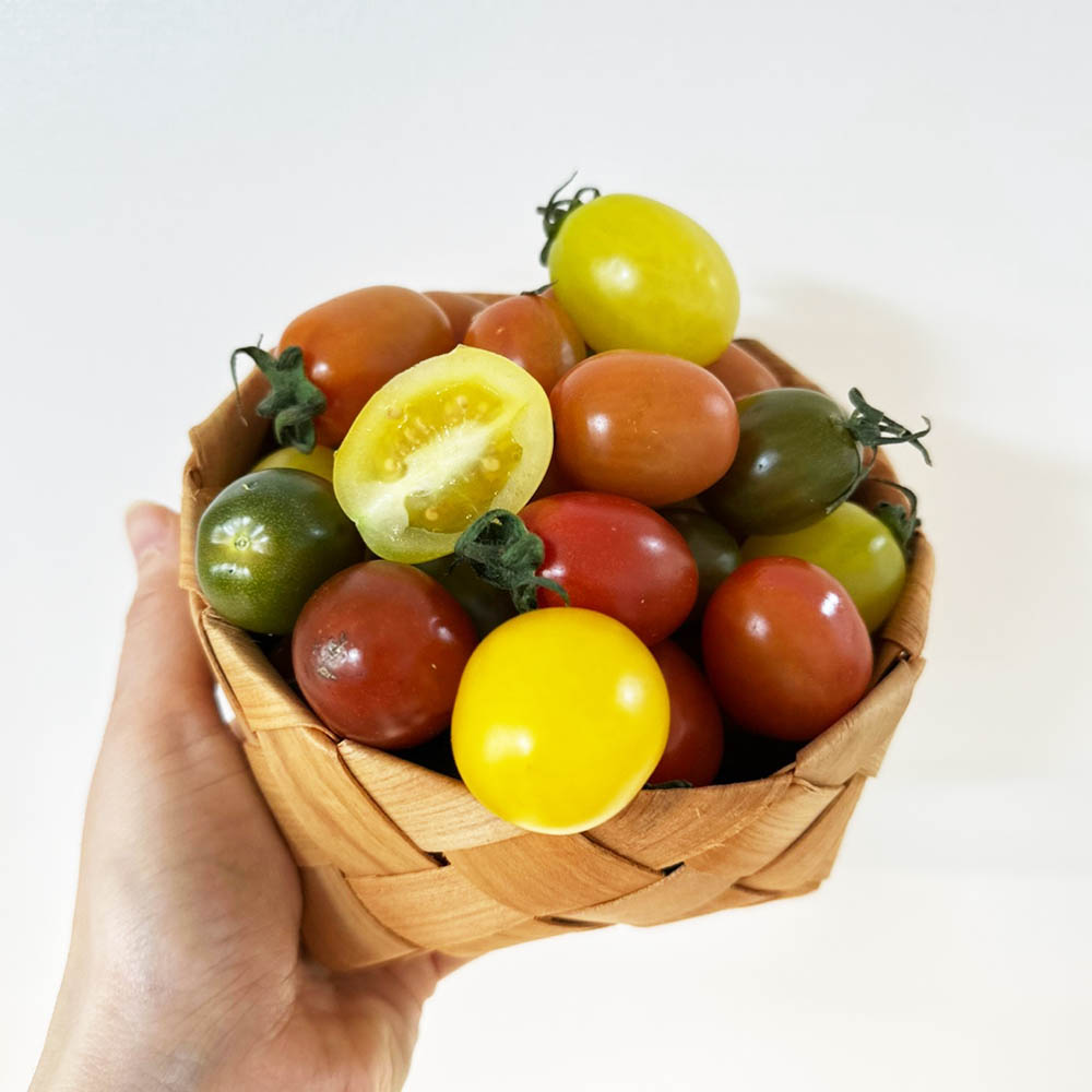 국내산 3색 컬러 방울토마토 1kg-3kg