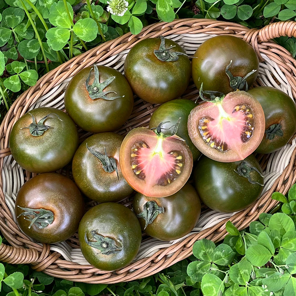 국내산 새콤달콤 흑 토마토 1kg 2kg