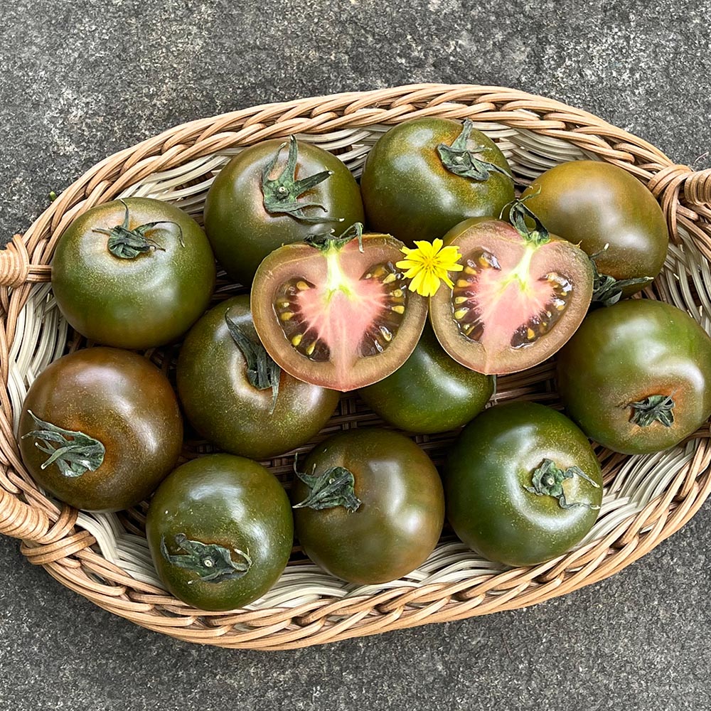국내산 새콤달콤 흑 토마토 1kg 2kg