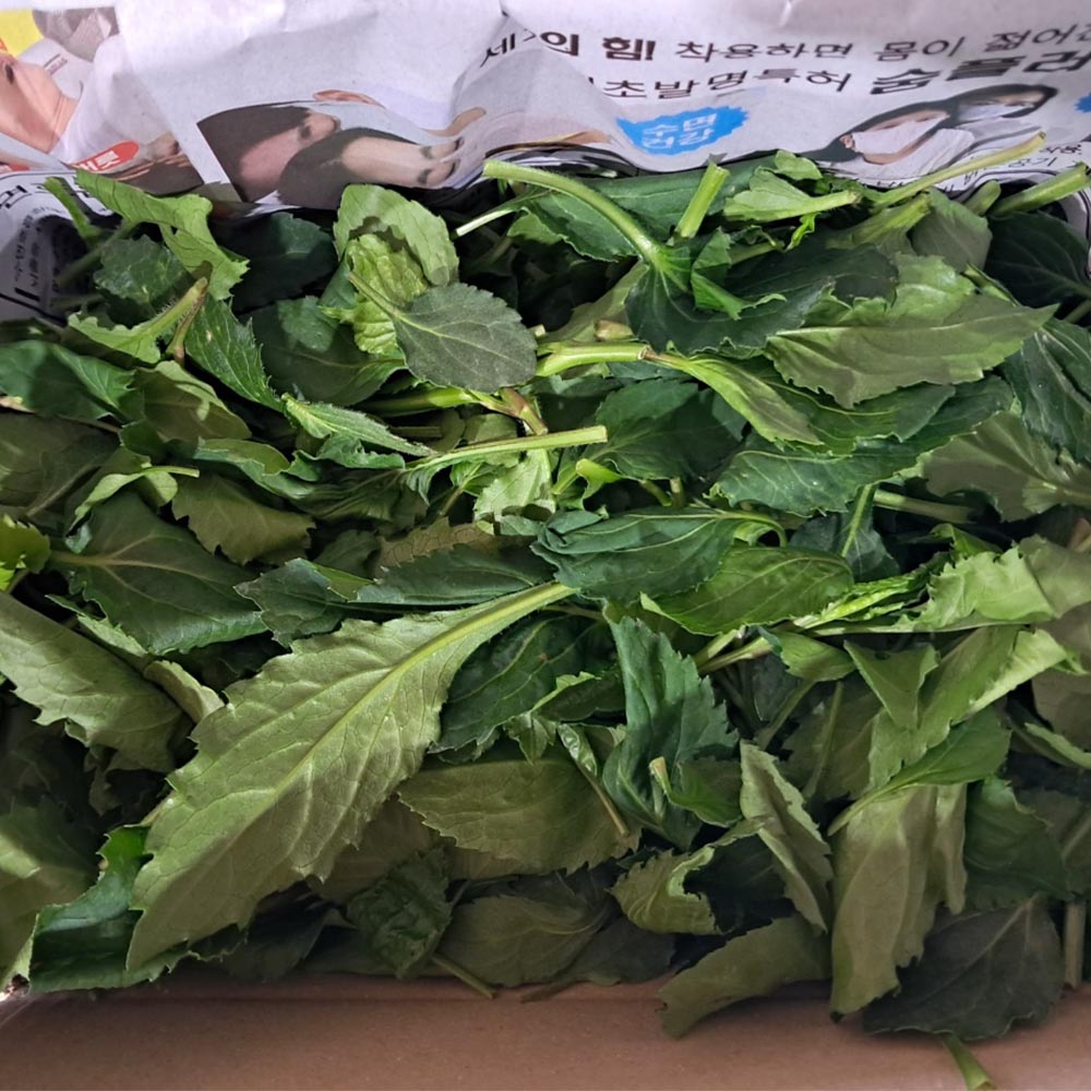 국내산 부지깽이 취나물 500g 1kg 2kg