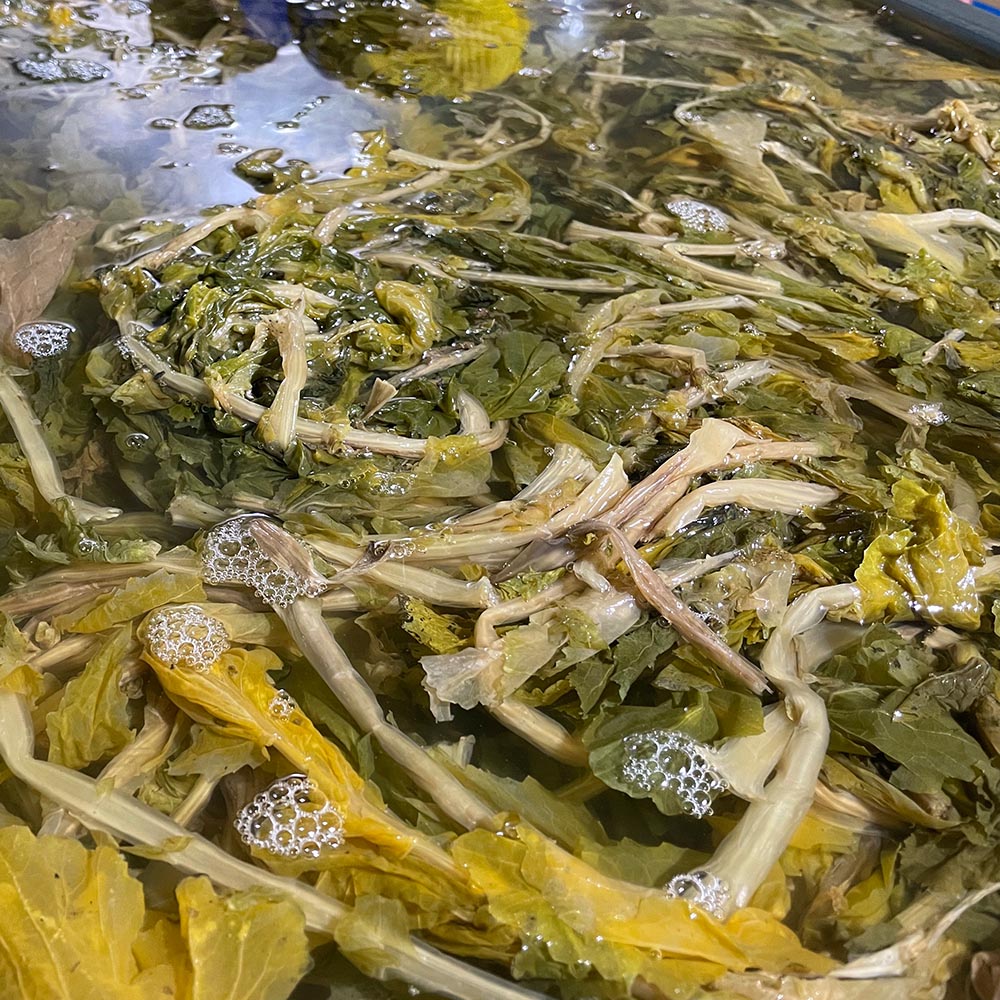 강원도 양구 볼펀치 삶은 시래기 1팩당 200g 5-20팩