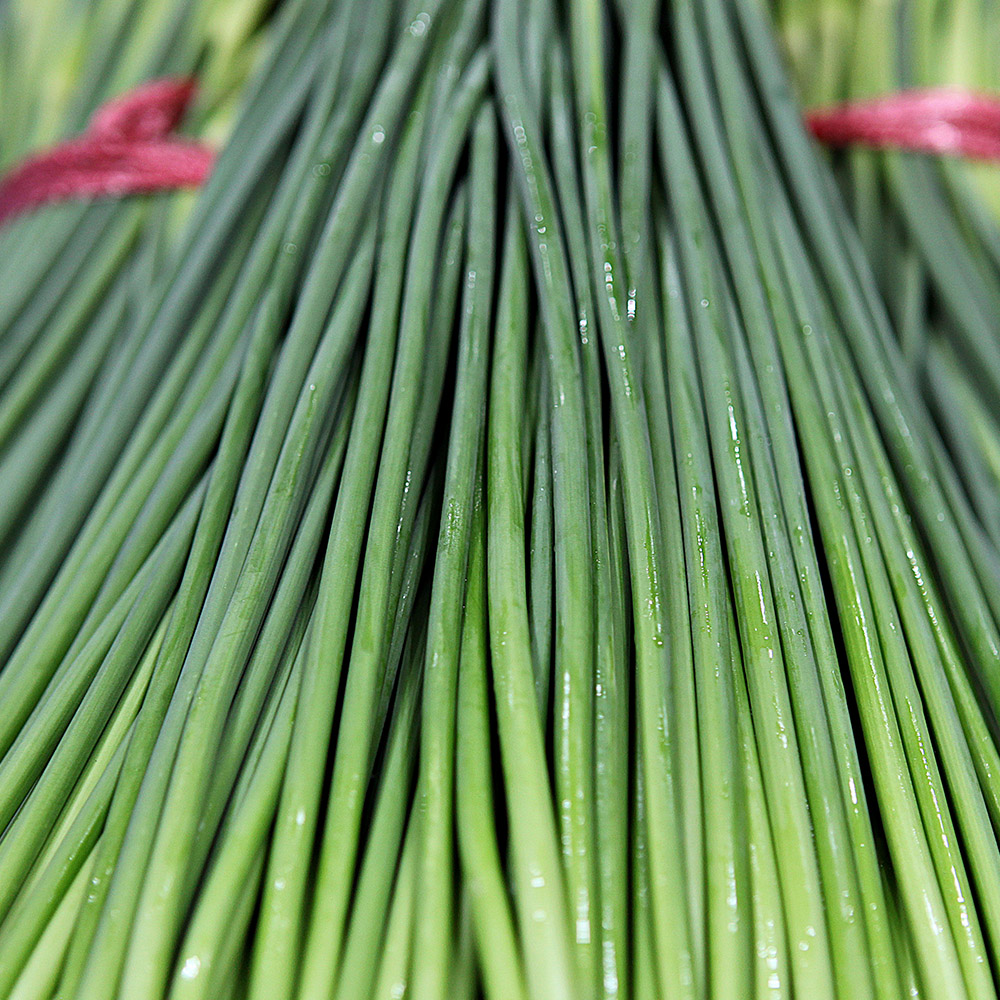 국내산 제철 마늘쫑 1kg