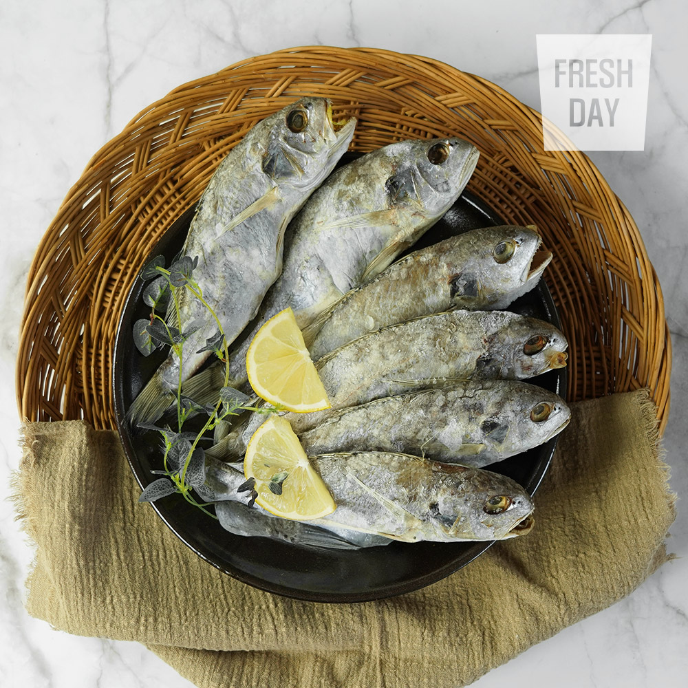 [동해수산] 담백하고 부드러운 국내산 백조기 백굴비 20미 / 특상품 10미