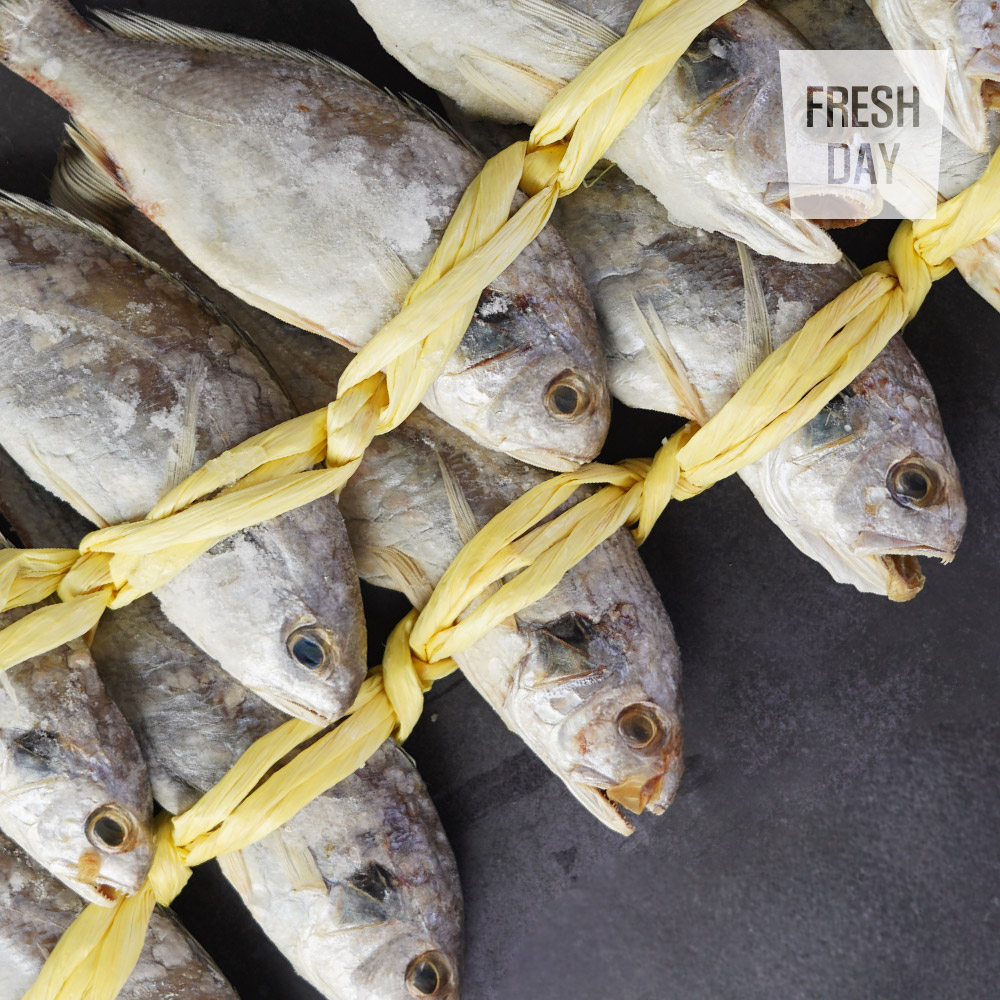 [동해수산] 담백하고 부드러운 국내산 백조기 백굴비 20미 / 특상품 10미