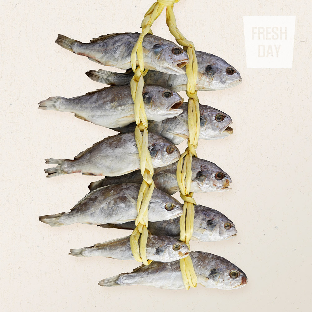 [동해수산] 담백하고 부드러운 국내산 백조기 백굴비 20미 / 특상품 10미