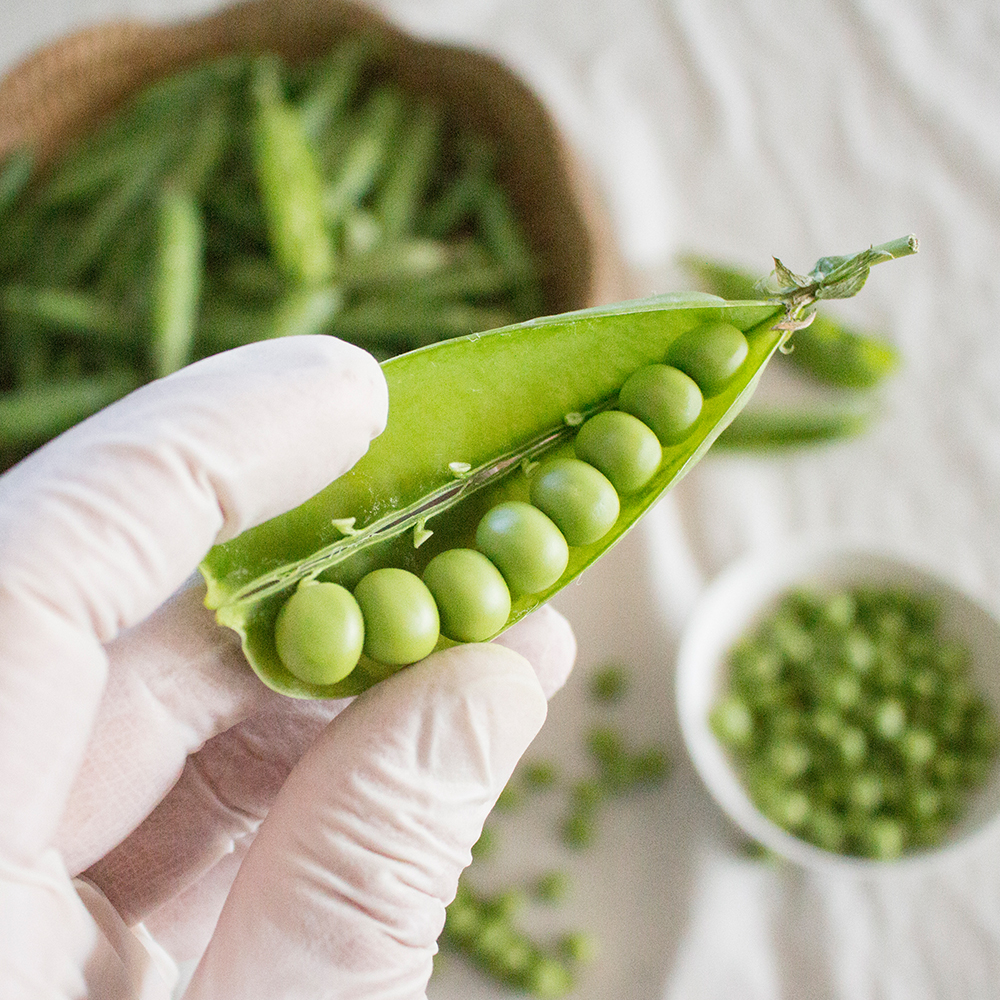 [입안톡톡] 완두콩 껍질 완두콩 1kg
