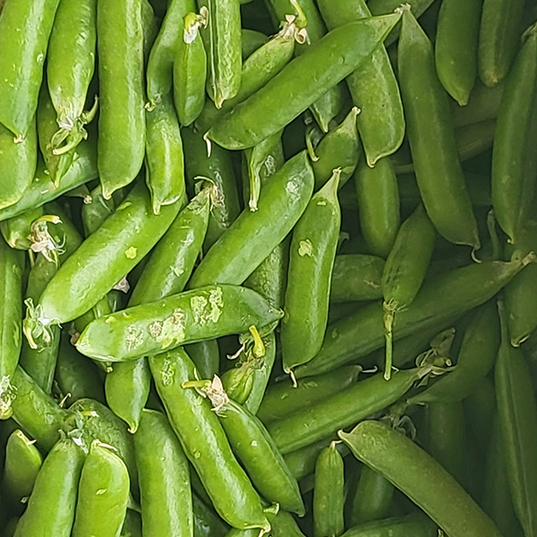 [입안톡톡] 완두콩 껍질 완두콩 1kg