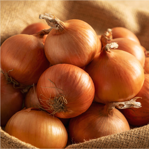 [무안직송] 달큰 아삭 양파 3kg 5kg 소 중대  사이즈 흰양파
