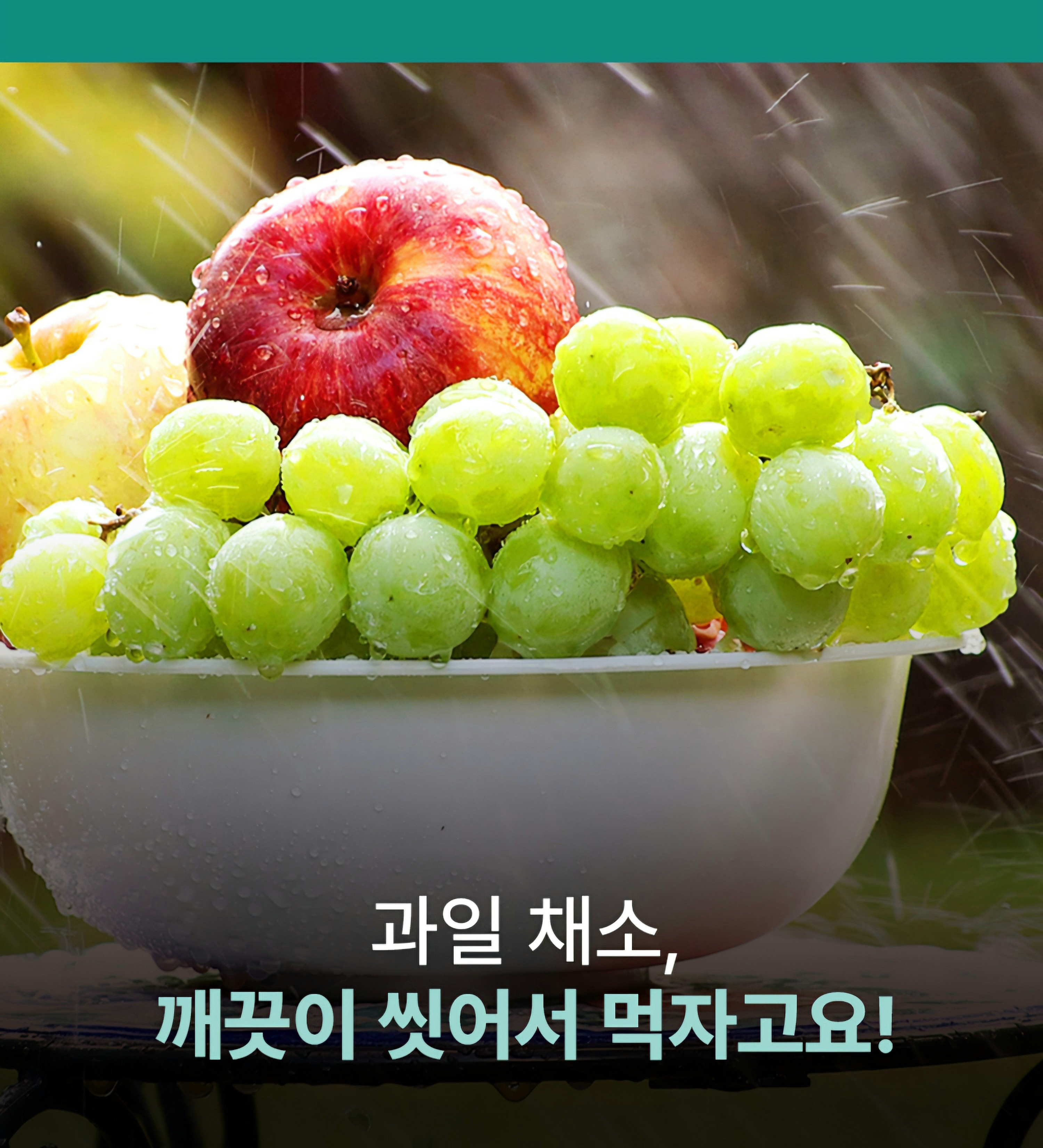 과일 채소 세정제 유정랩 위생백 지퍼백 야채 세척