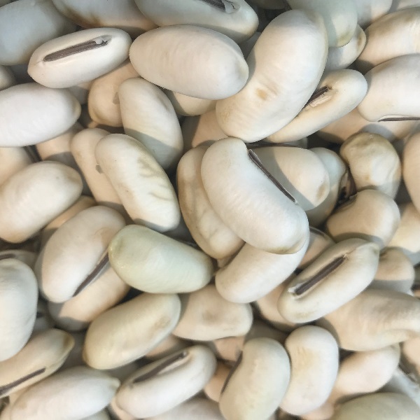 하얀 작두콩알차 3g (10티백/20티백/40티백)