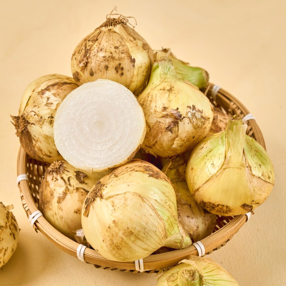 국내산 알싸한 무안 햇양파 3kg 5kg 소/중대