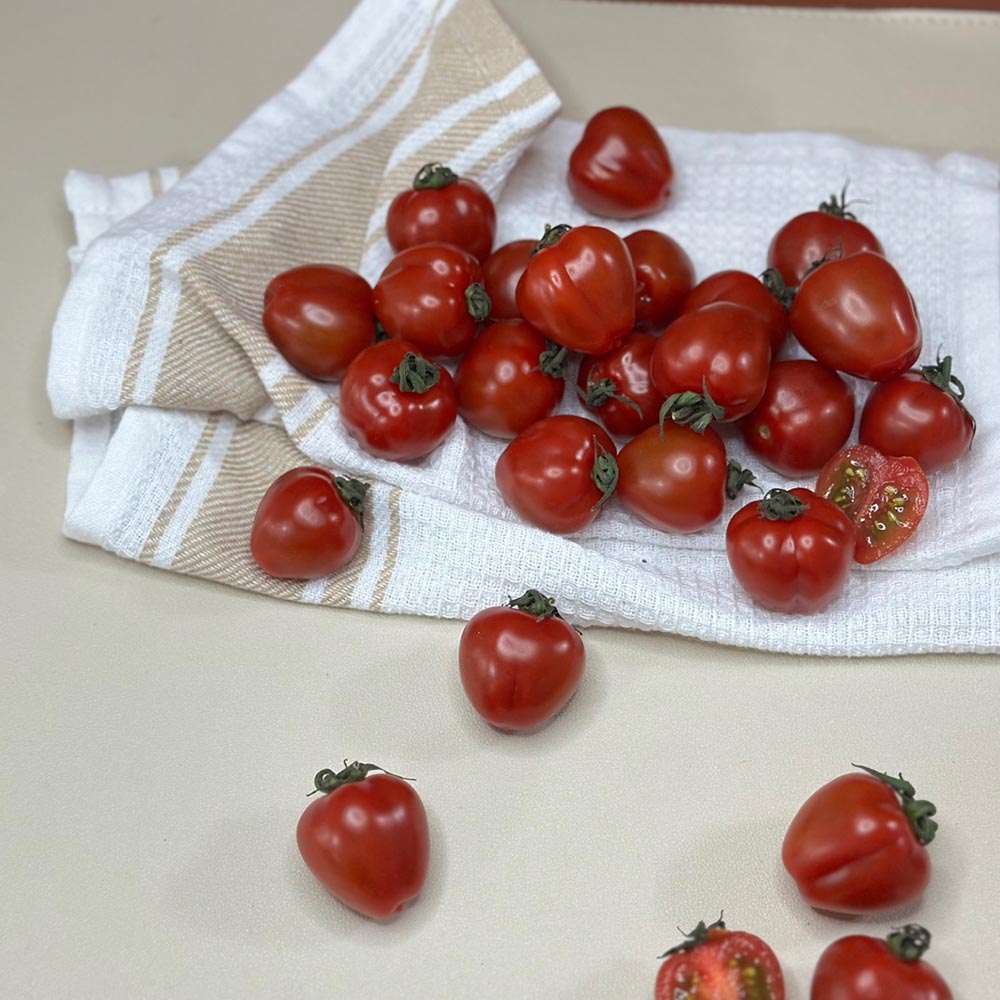 신품종 루비벨 방울 토마토 1-3kg