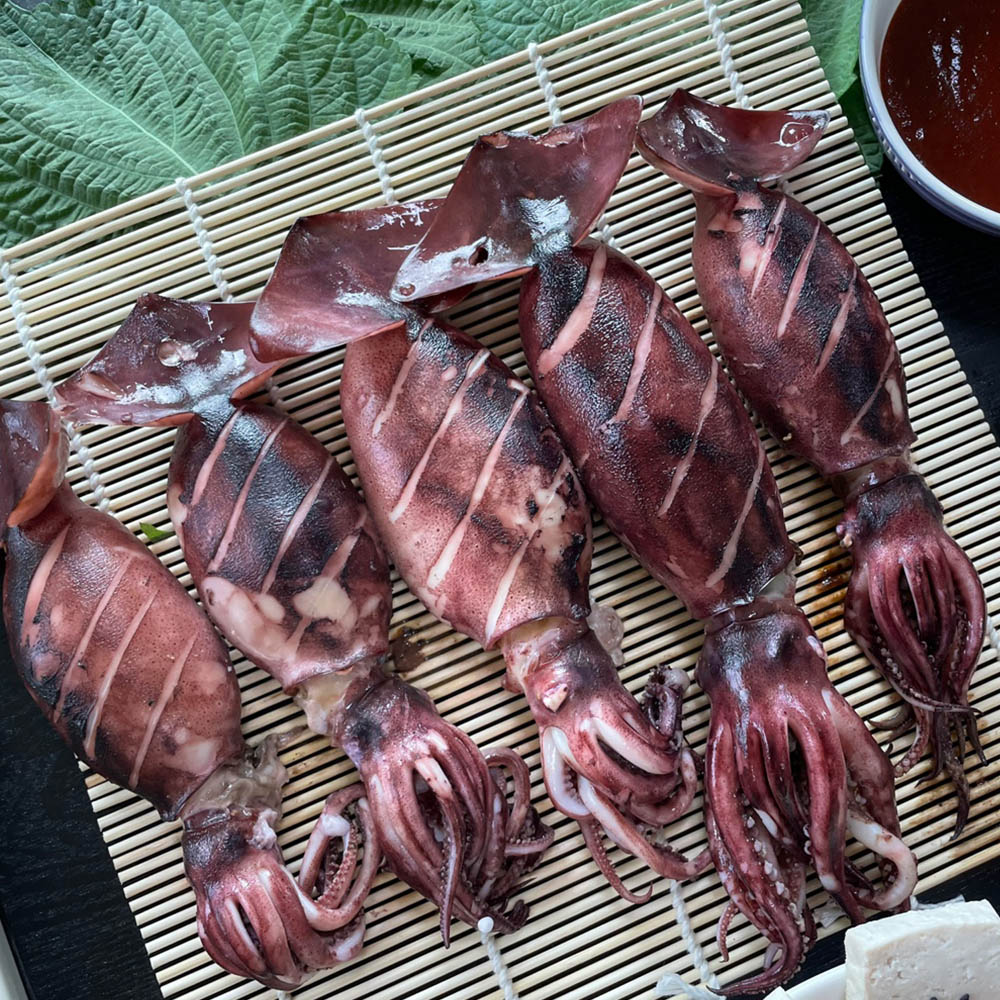 원양산 급냉 총알 오징어 500g-2.5kg