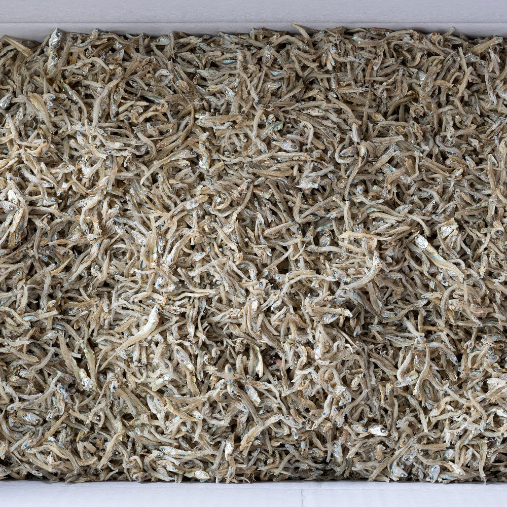 짜지 않은 HACCP 저염 지리멸치 300g 500g 1kg / 국산 볶음 조림 잔 멸치