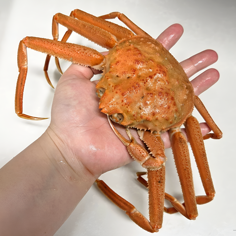 수율 80% 북해도 수컷 자숙 대게 1kg (4-7마리)