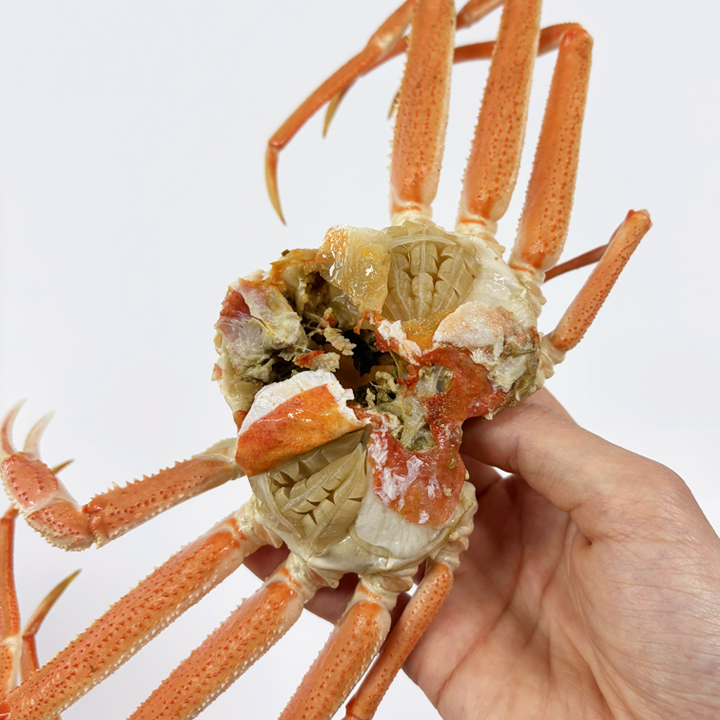 수율 80% 북해도 수컷 자숙 대게 1kg (4-7마리)