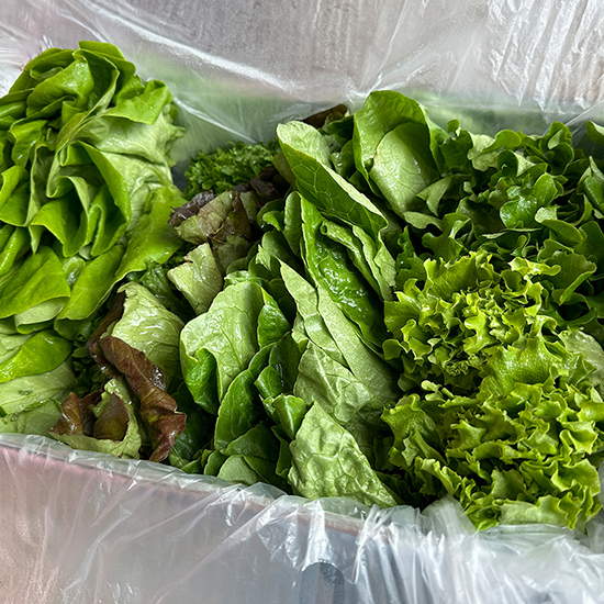 아삭아삭 유러피안 샐러드 쌈채소 1kg(4-6종)