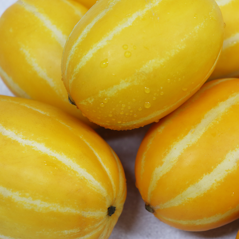 천유작 산지직송 고당도 성주 꿀 참외 1kg~4.5kg