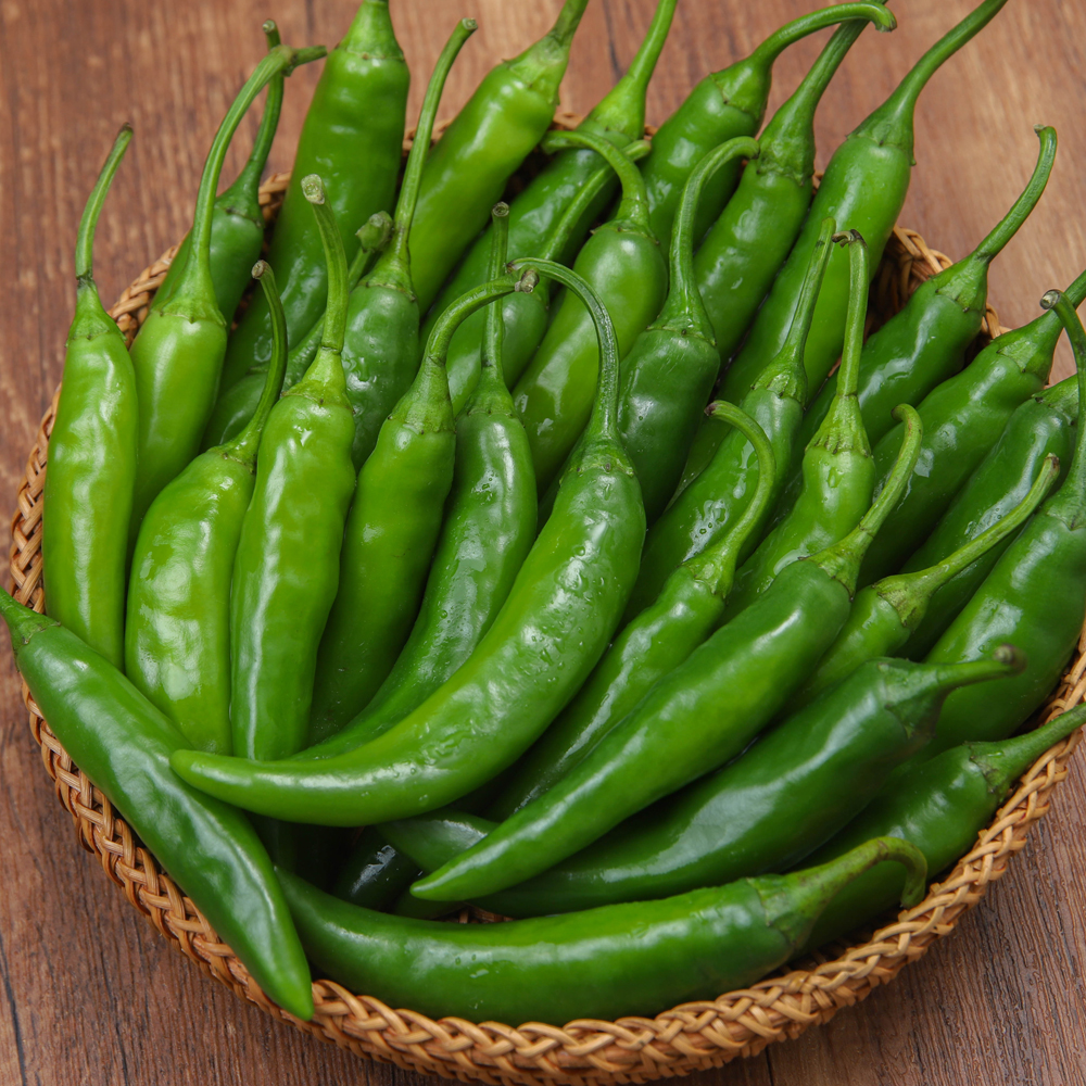청양고추 오이고추 1kg 10kg