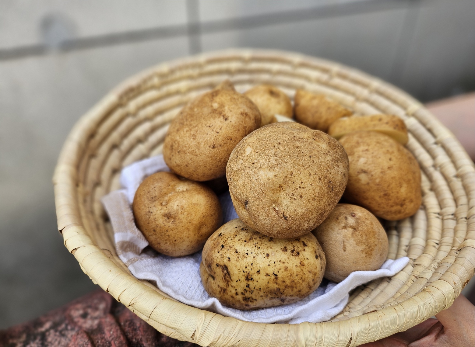 국내산 햇감자 조림용 알감자 포슬포슬 수미감자