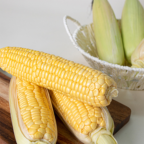 [첫출하] 달콤달콤 초당옥수수_상등급(10cm-15cm) [5개/10개/20개]