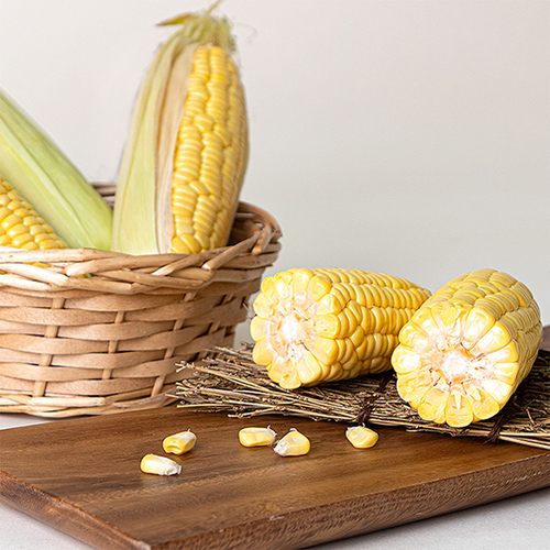 [첫출하] 달콤달콤 초당옥수수_상등급(10cm-15cm) [5개/10개/20개]