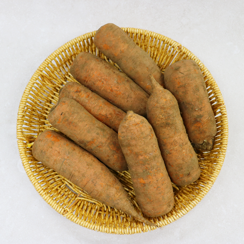 (국내산) 오늘발송 제주 구좌 흙당근 쥬스용 1kg~10kg