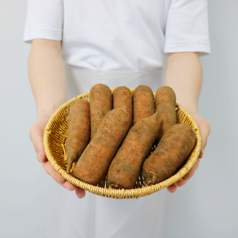 (국내산) 오늘발송 제주 구좌 흙당근 쥬스용 1kg~10kg