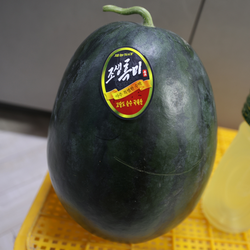 당도 높고 맛있는 프리미엄 꿀수박 or 흑수박 4~8kg