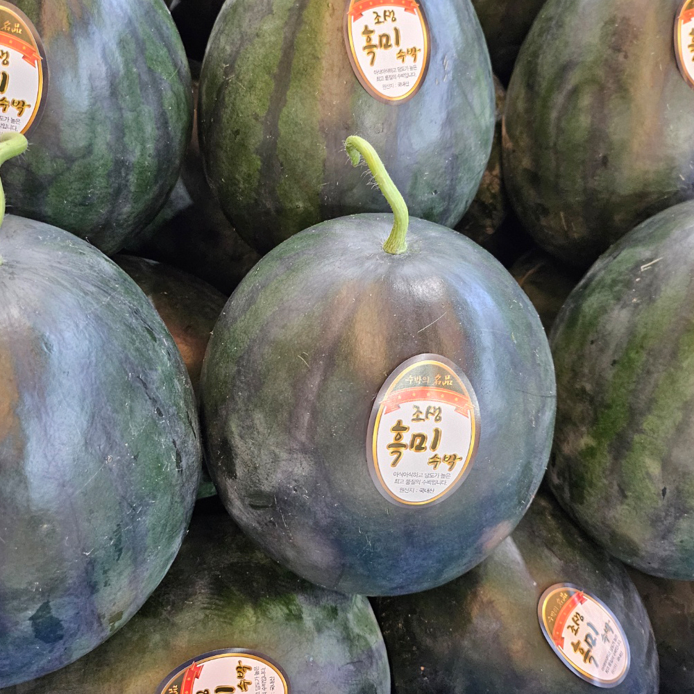 당도 높고 맛있는 프리미엄 꿀수박 or 흑수박 4~8kg