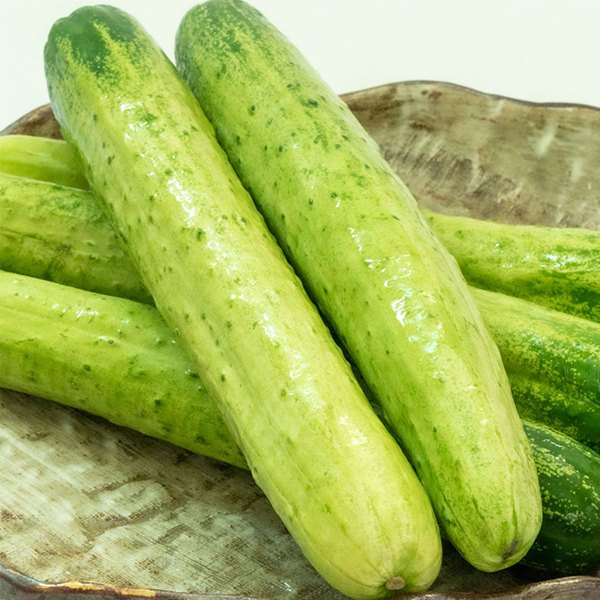 [산지직송] 수분 촉촉 백오이 아삭 하얀오이 2kg 3kg 5kg 백다다기