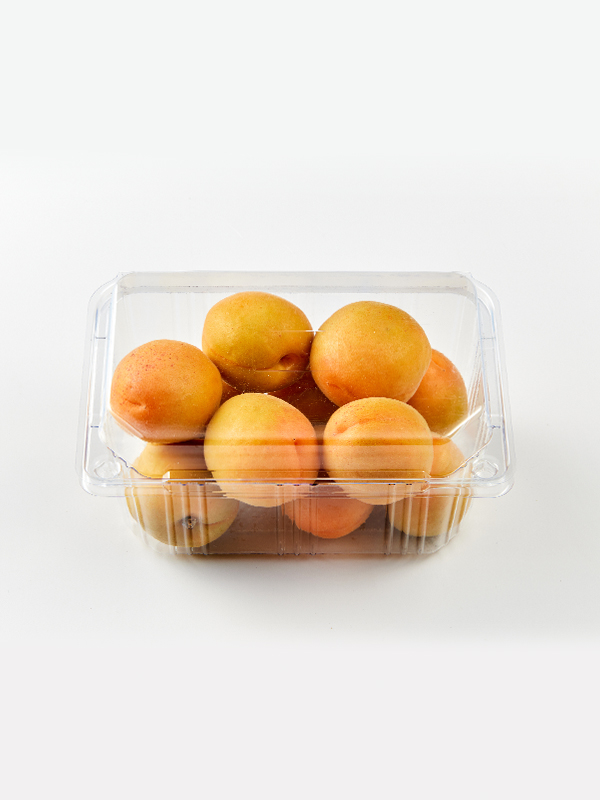 GAP 살구(450g)