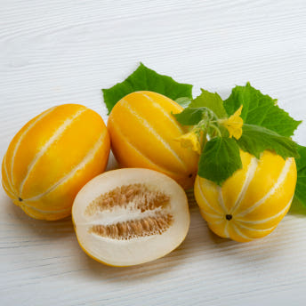 일등푸드 성주참외 고당도 못난이참외 2kg 3kg 5kg 10kg 가정용 실속형