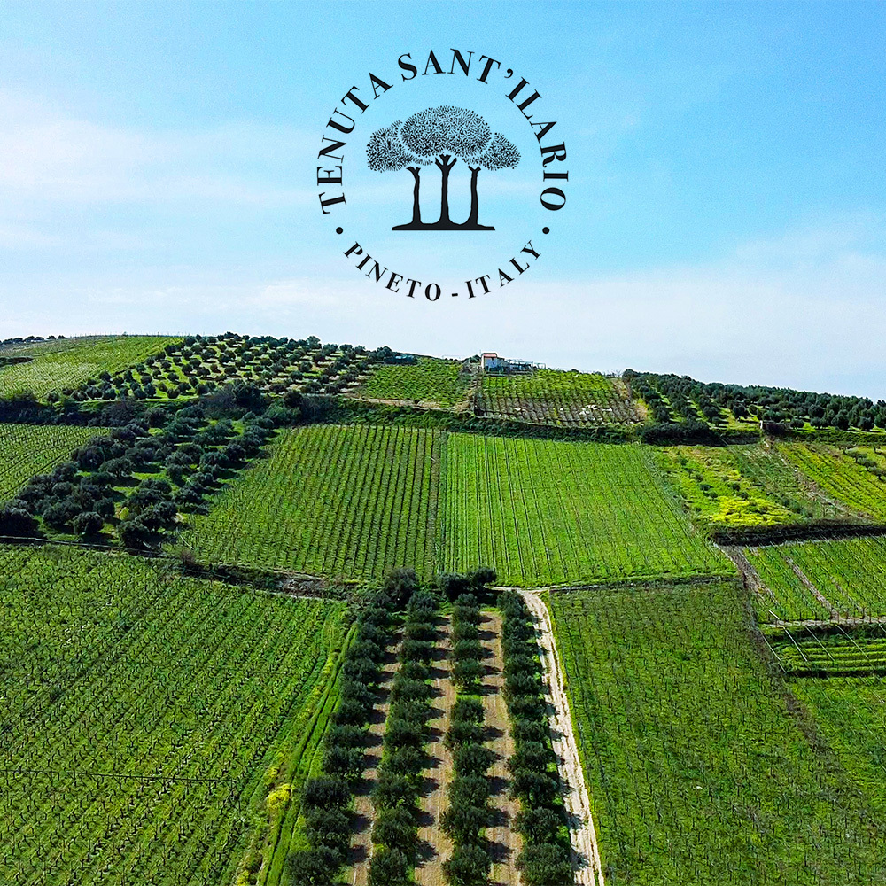 테누타 산틸라리오 피크닉 엑스트라버진 올리브오일 베르데 500ml