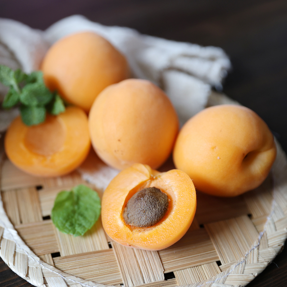 새콤달콤 맛있는 영천 노지 살구 1kg 2kg 3kg