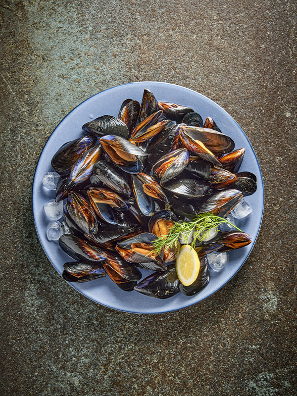 국산 자숙 피홍합 (냉동, 1kg)