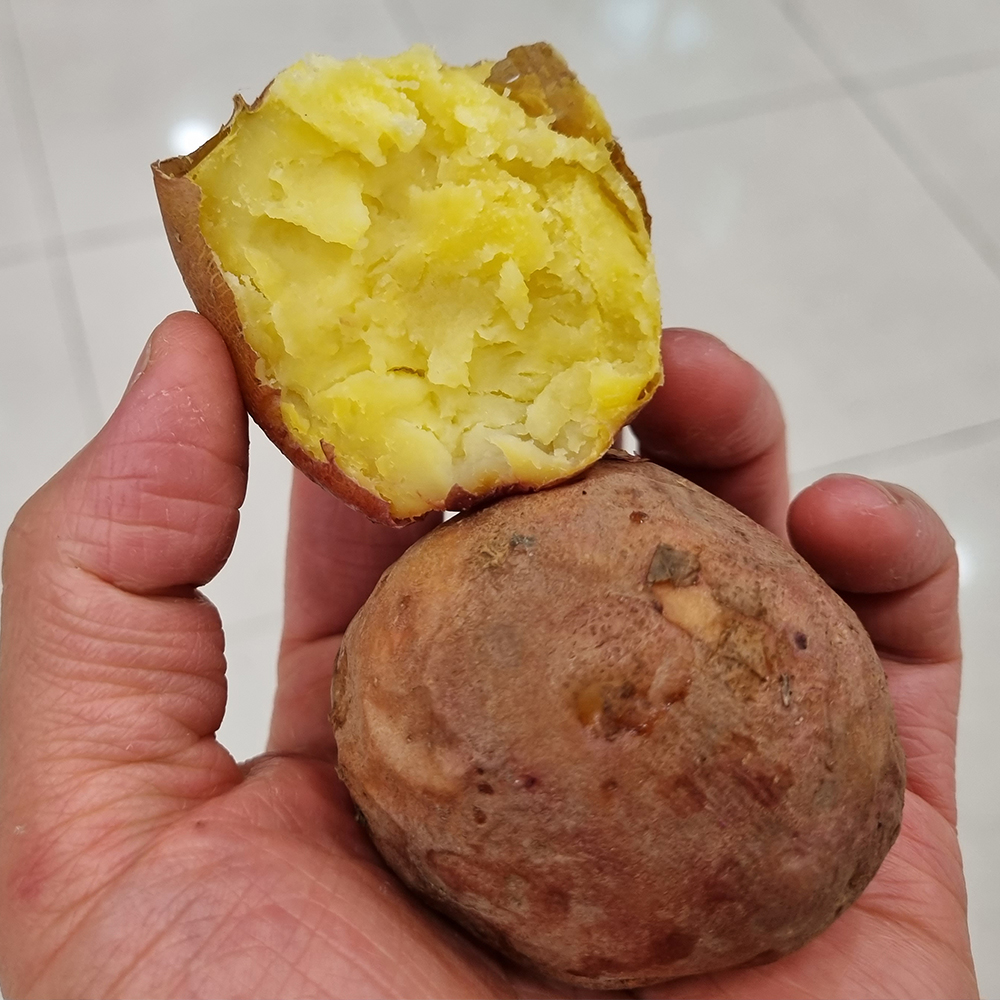 [포슬포슬] 카스테라 홍감자 빨간 감자 붉은 감자 노란 속살 1.5kg 3kg 5kg 비세척