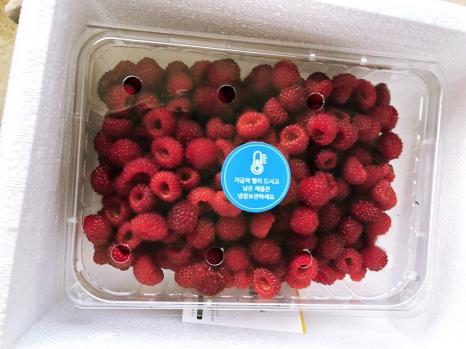 포항 비학산 제철 산딸기 생과 1kg