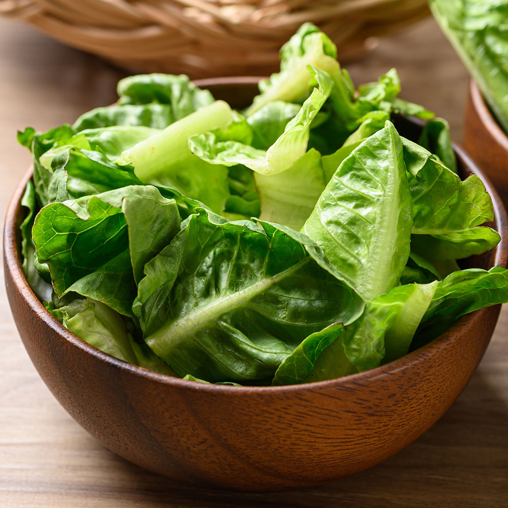 국내산 로메인 청상추 200g-1kg