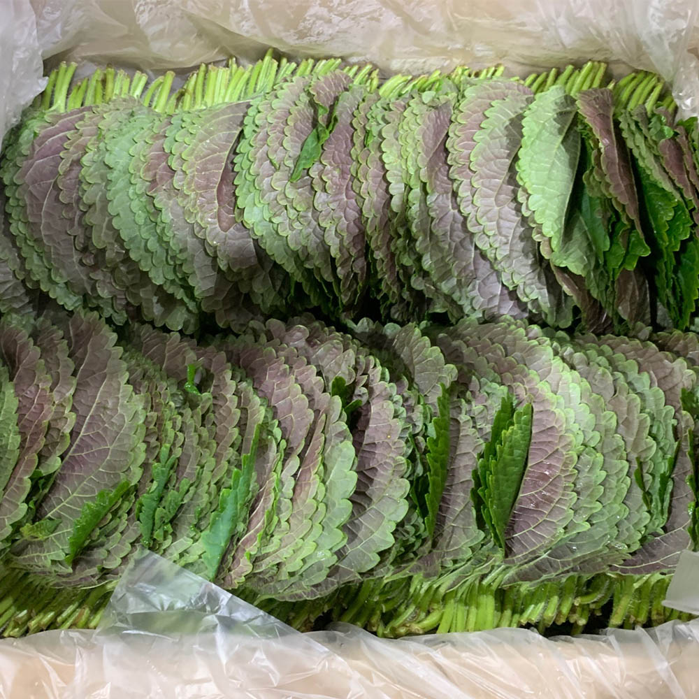 국내산 깻잎 3묶음 100g 내외 3-30묶음