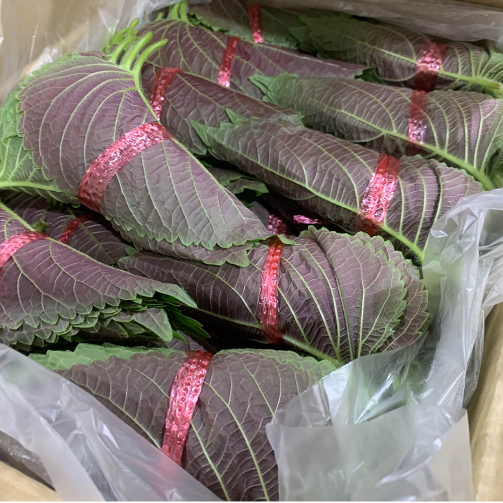 국내산 깻잎 3묶음 100g 내외 3-30묶음