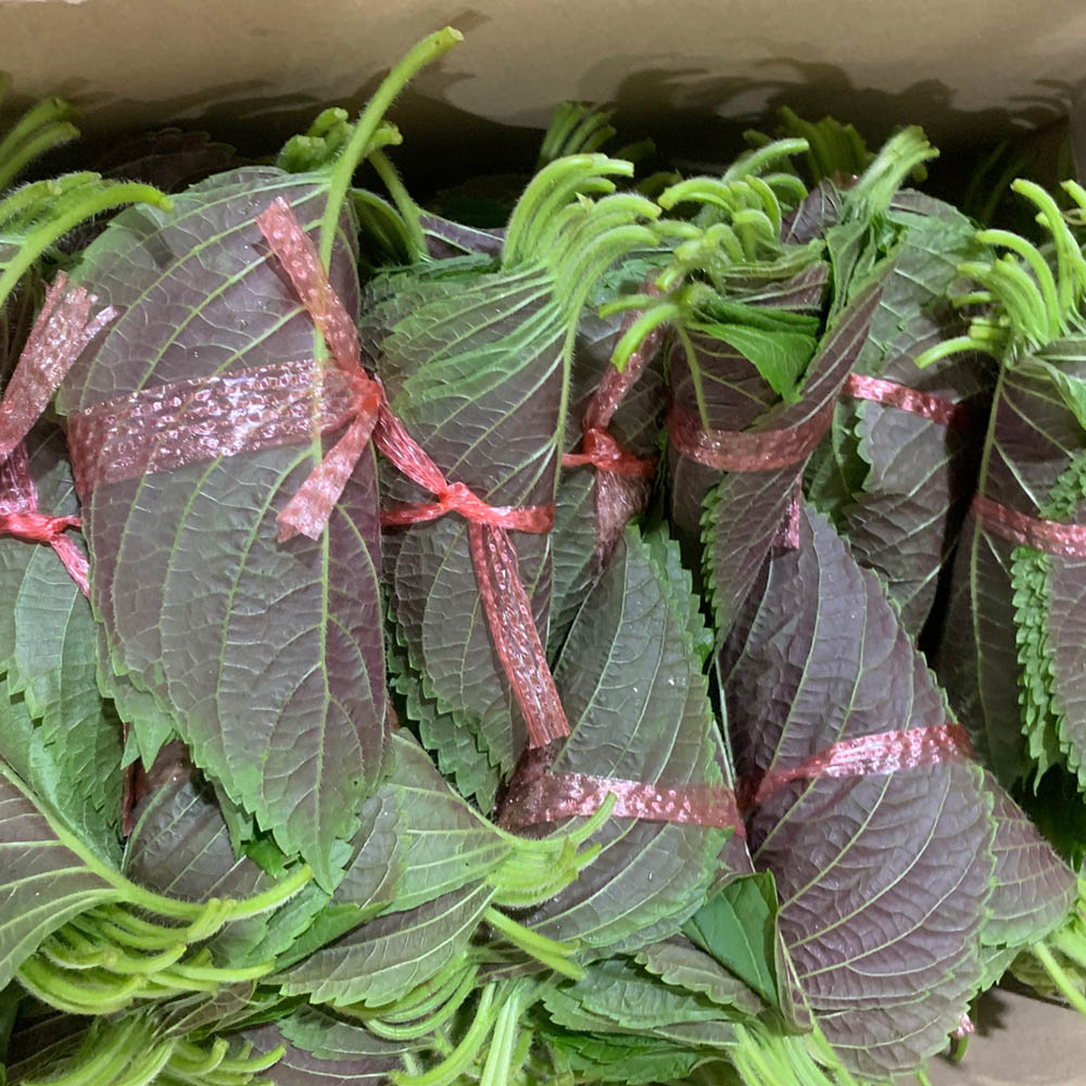 국내산 깻잎 3묶음 100g 내외 3-30묶음